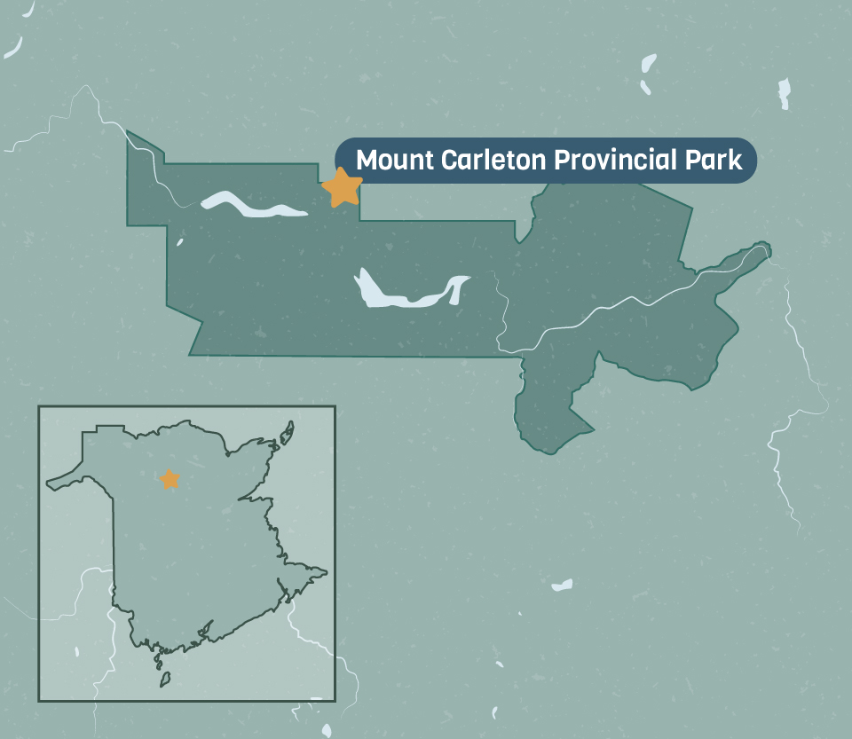 Mount carleton provincial park